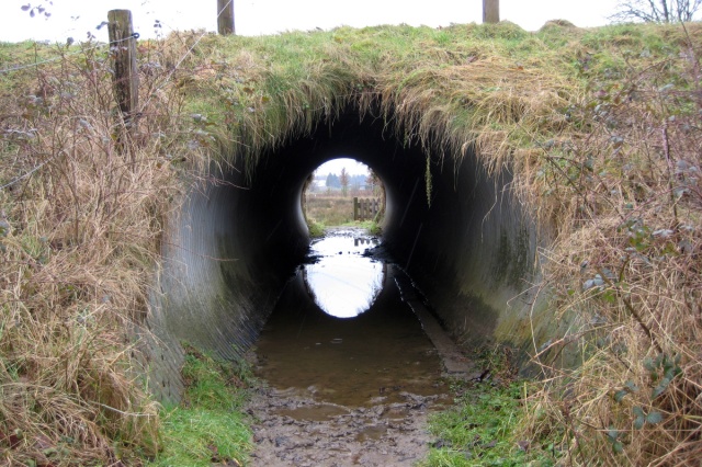 water in de tunnel